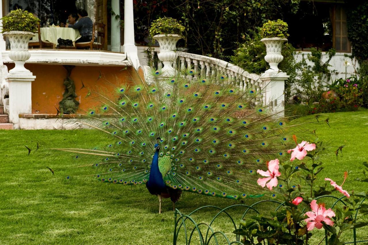 La Mirage Garden Hotel & Spa Cotacachi Bagian luar foto